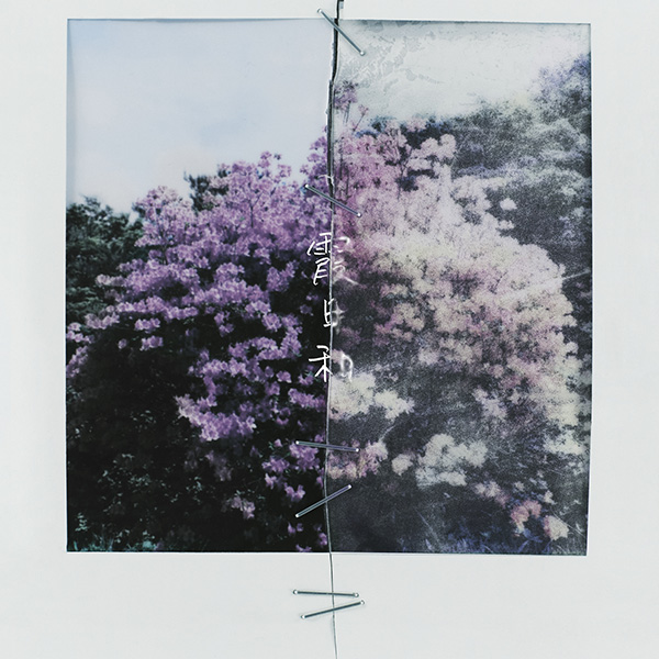 Sound Forest