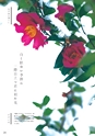 Medetta! Vol.23 2018 Winter 電子版