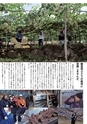 Medetta! Vol.24 2019 Spring 電子版