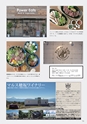 Medetta! Vol.25 Summer 2019