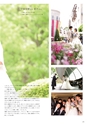 Medetta! Vol.26 Autumn 2019