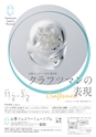 Medetta! Vol.27 WINTER 2019