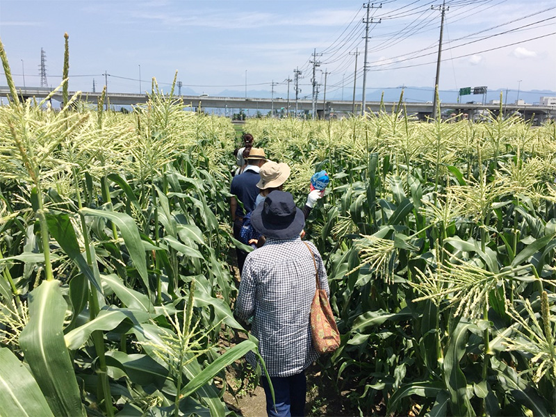たべるみらい