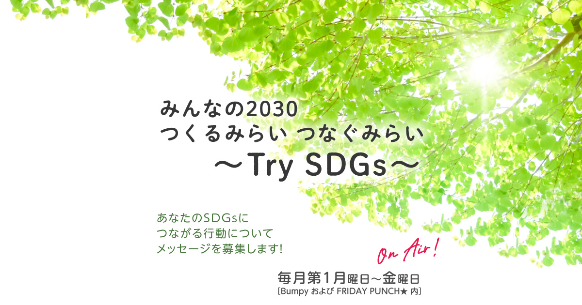 みんなの2030 つくるみらい つなぐみらい ~Try SDGs~