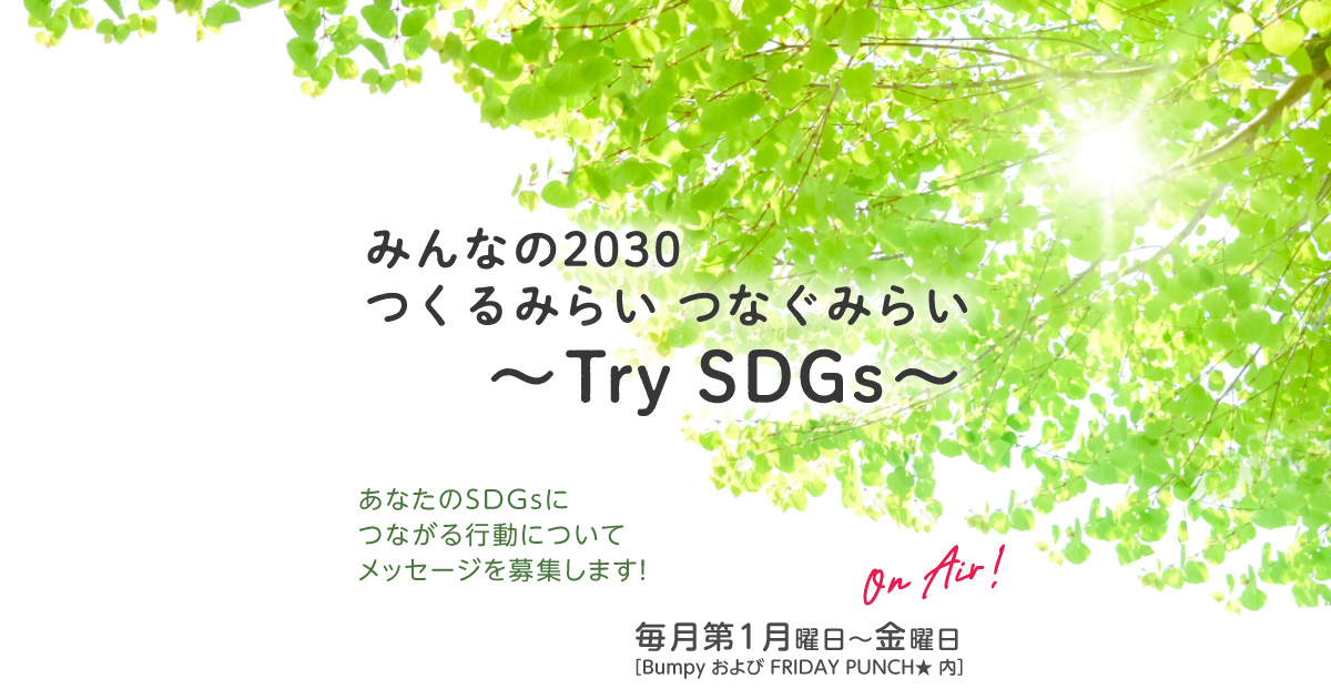 みんなの2030
つくるみらい つなぐみらい　～Try SDGs～