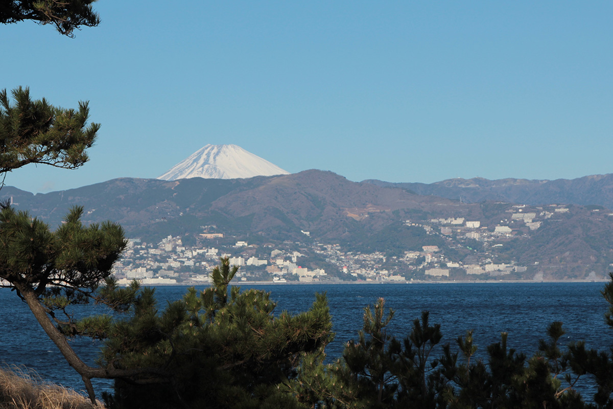 初島