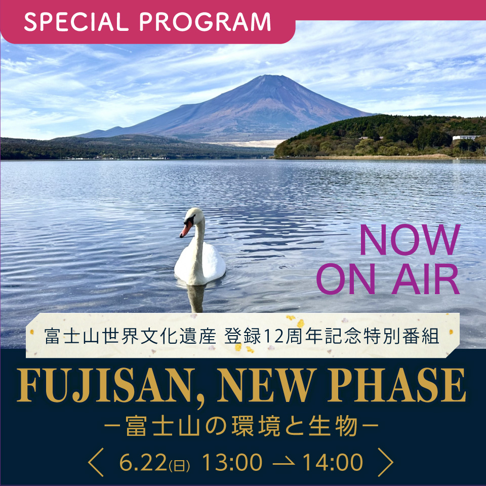 NOW ON AIR