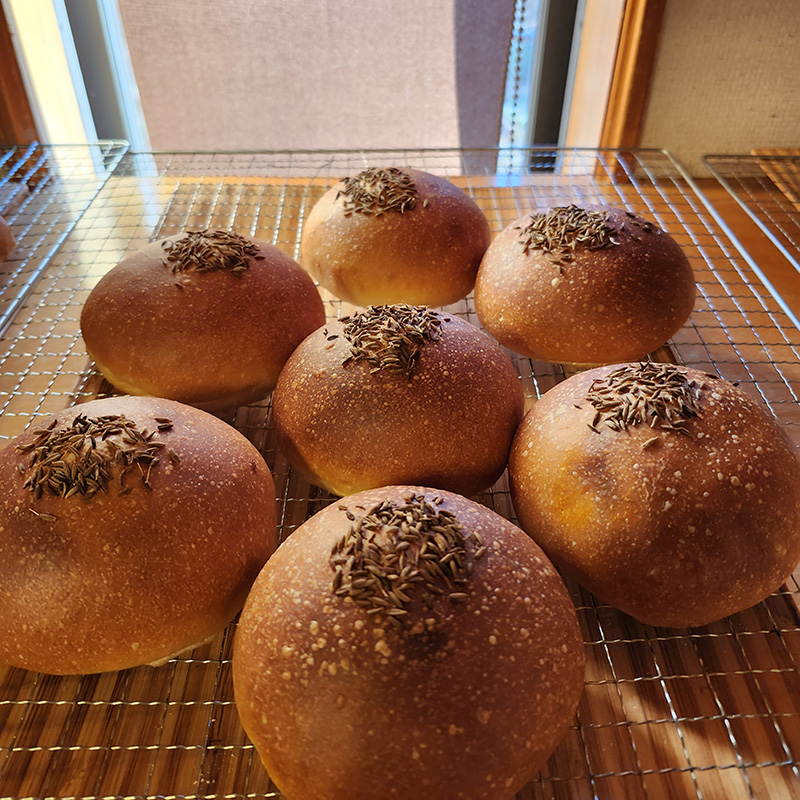 ごりらのパン屋さん