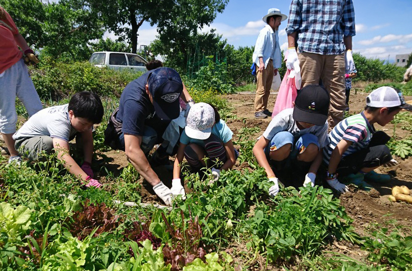 Farmer’s CHAT農業体験プログラム みんなで育てるじゃがいも畑