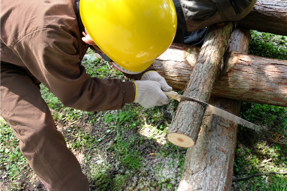 林業者体験